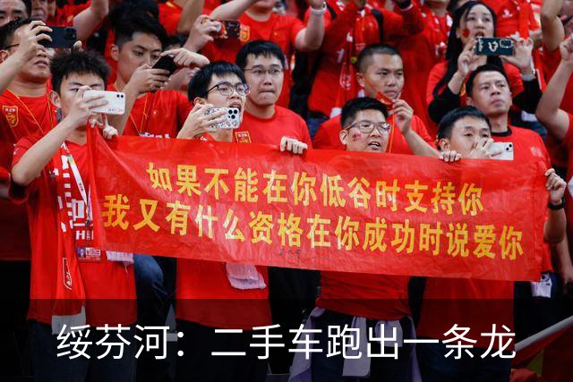 绥芬河：二手车跑出一条龙
